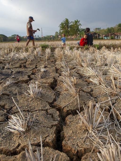 Mehrere Kinder spielen in einem ausgetrockneten Reisfeld in Zentraljava. Der Boden ist rissig und staubig, Wasser ist nicht zu sehen. Die Landschaft wirkt trocken und ausgedörrt, was die Folgen einer längeren Dürre sichtbar macht.