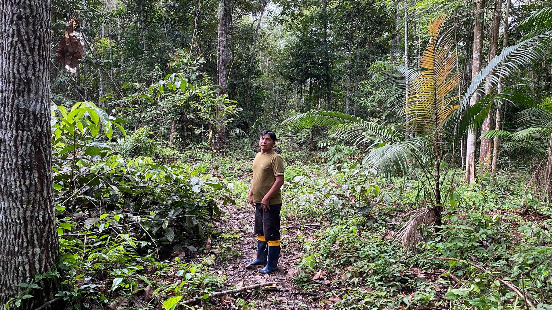 Bildbeschreibung: Ein Mitglied des Volks der Sataré-Mawé steht im Wald und schaut in die Kamera. Bildbeschreibung: Ein Mitglied des Volks der Sataré-Mawé steht im Wald und schaut in die Kamera.