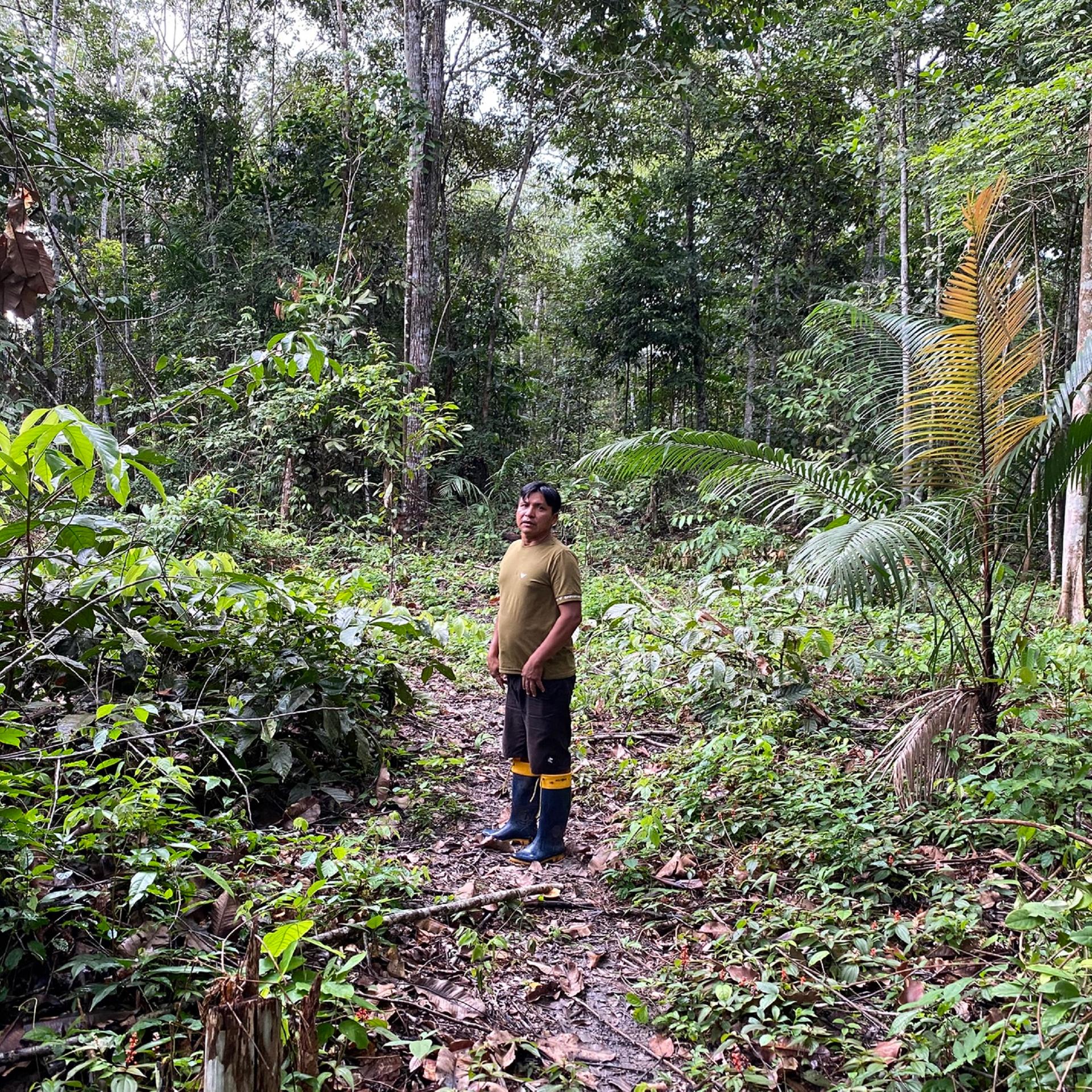 Der Duft von Rosenholz - Die Parfümindustrie und die Sateré-Mawé