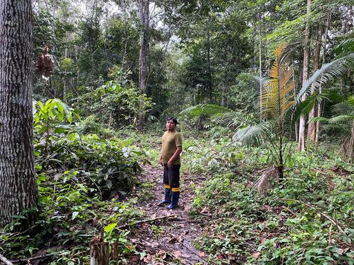 Bildbeschreibung: Ein Mitglied des Volks der Sataré-Mawé steht im Wald und schaut in die Kamera. 