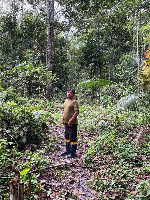 Bildbeschreibung: Ein Mitglied des Volks der Sataré-Mawé steht im Wald und schaut in die Kamera. Bildbeschreibung: Ein Mitglied des Volks der Sataré-Mawé steht im Wald und schaut in die Kamera.