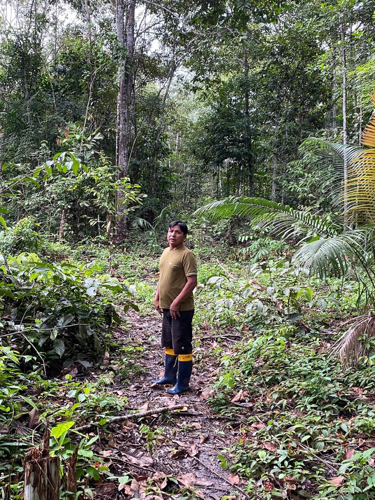 Bildbeschreibung: Ein Mitglied des Volks der Sataré-Mawé steht im Wald und schaut in die Kamera. 