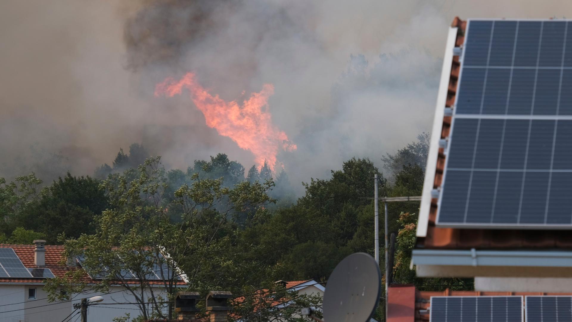 Rauch und Flammen steigen von Bäumen auf, die bei einem Waldbrand in der Nähe von Montenegros Hauptstadt Podgorica brennen.