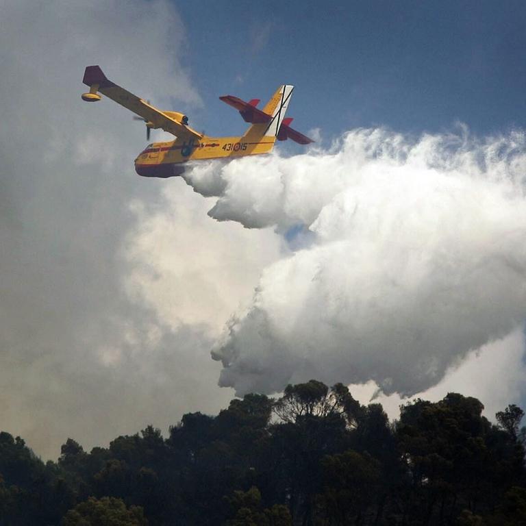 In der Region Valencia gibt es neue Brände (Archivbild vom 13.8.2026); ein Löschflugzeug ist am Himmel zu sehen, darunter Baumwipfel.