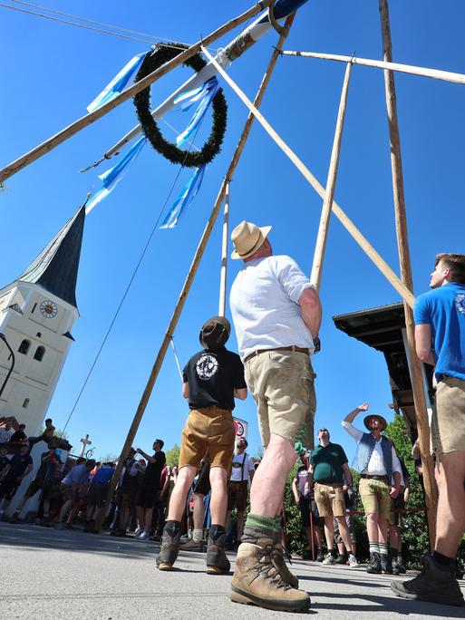 Mehrere Männer richten mit Muskelkraft und der Hilfe von Stangen vor strahlend blauem Himmel den Maibaum auf. Im Hintergrund ist die örtliche Kirche zu sehen.