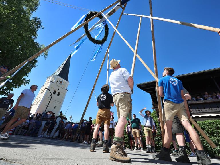 Mehrere Männer richten mit Muskelkraft und der Hilfe von Stangen vor strahlend blauem Himmel den Maibaum auf. Im Hintergrund ist die örtliche Kirche zu sehen.