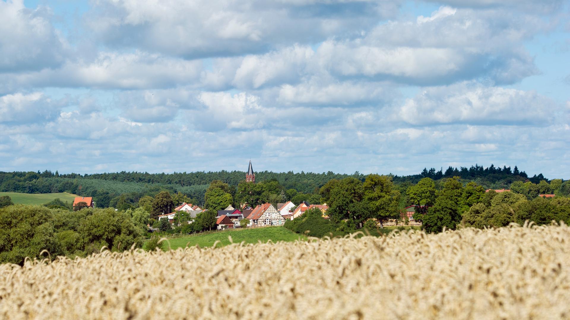 Wolken am blauen Himmel ziehen über ein Weizenfeld am Rande eines Dorfes.