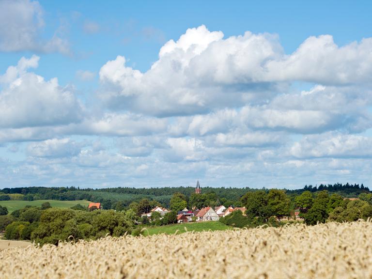 Wolken am blauen Himmel ziehen über ein Weizenfeld am Rande eines Dorfes. Wolken am blauen Himmel ziehen über ein Weizenfeld am Rande eines Dorfes.
