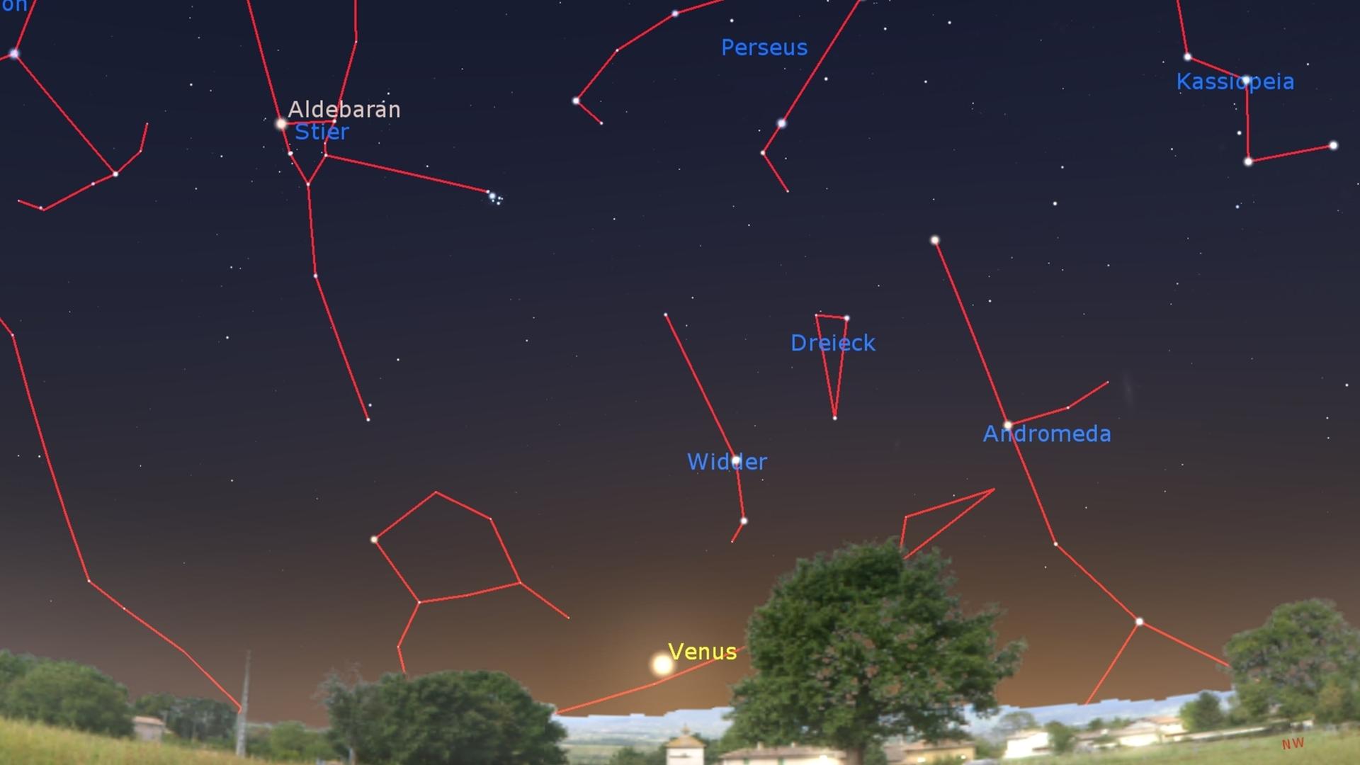 Nächtlicher Sternenhimmel mit aufgezeichneten roten Linien, die die Sternbilder zeigen, über einer Graslandschaft