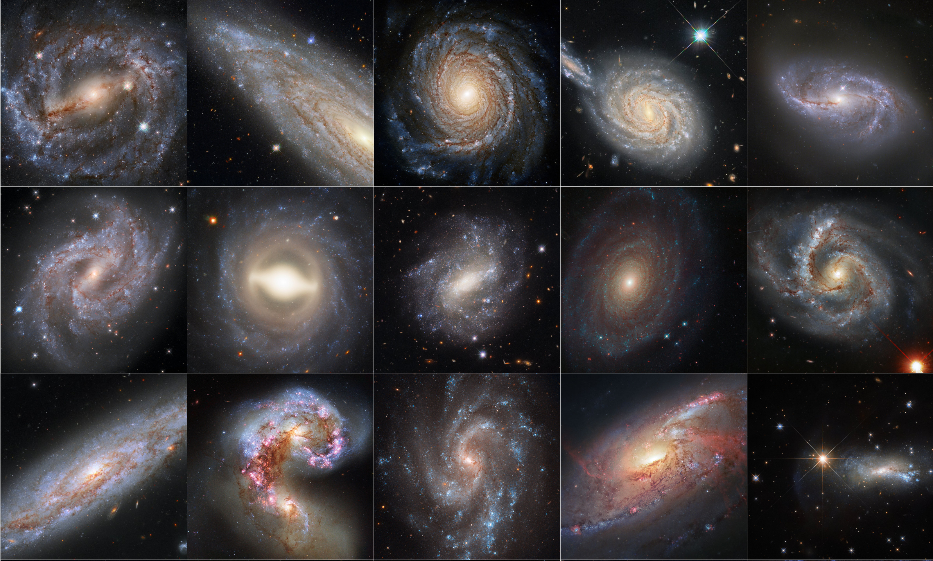 Schöner leben im Multiversum - Der Scherz von den unendlich vielen  