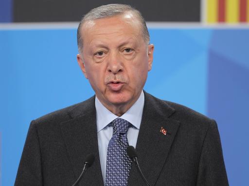 Recep Tayyip Erdogan: AKP-Vorsitzender und Staatspräsident der Türkei