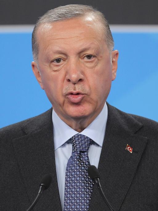 Recep Tayyip Erdogan: AKP-Vorsitzender und Staatspräsident der Türkei