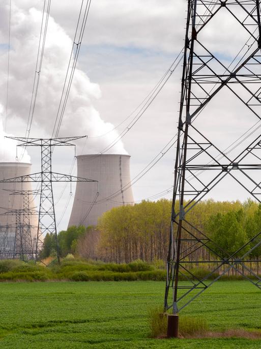Das Atomkraftwerk Nogent-sur-Seine - davor eine Hochspannungsleitung