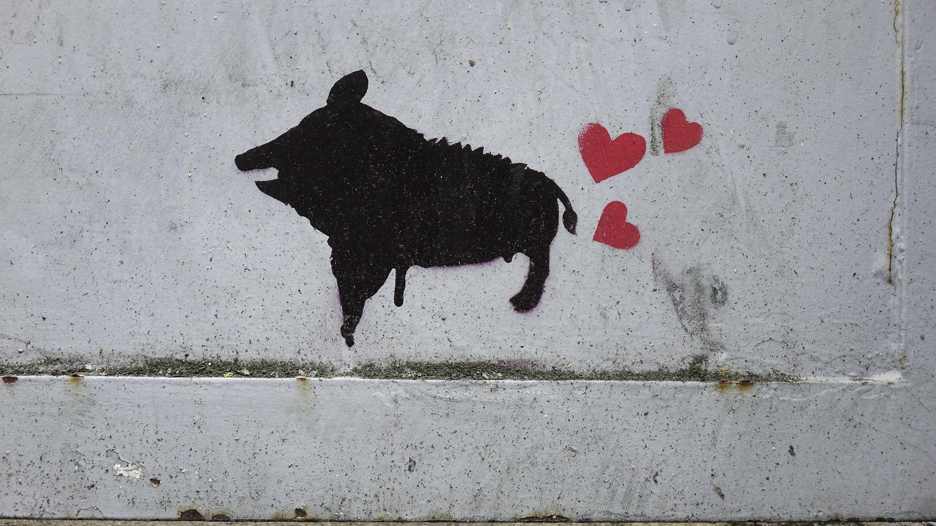 Graffito an einem Tor in Bonn.