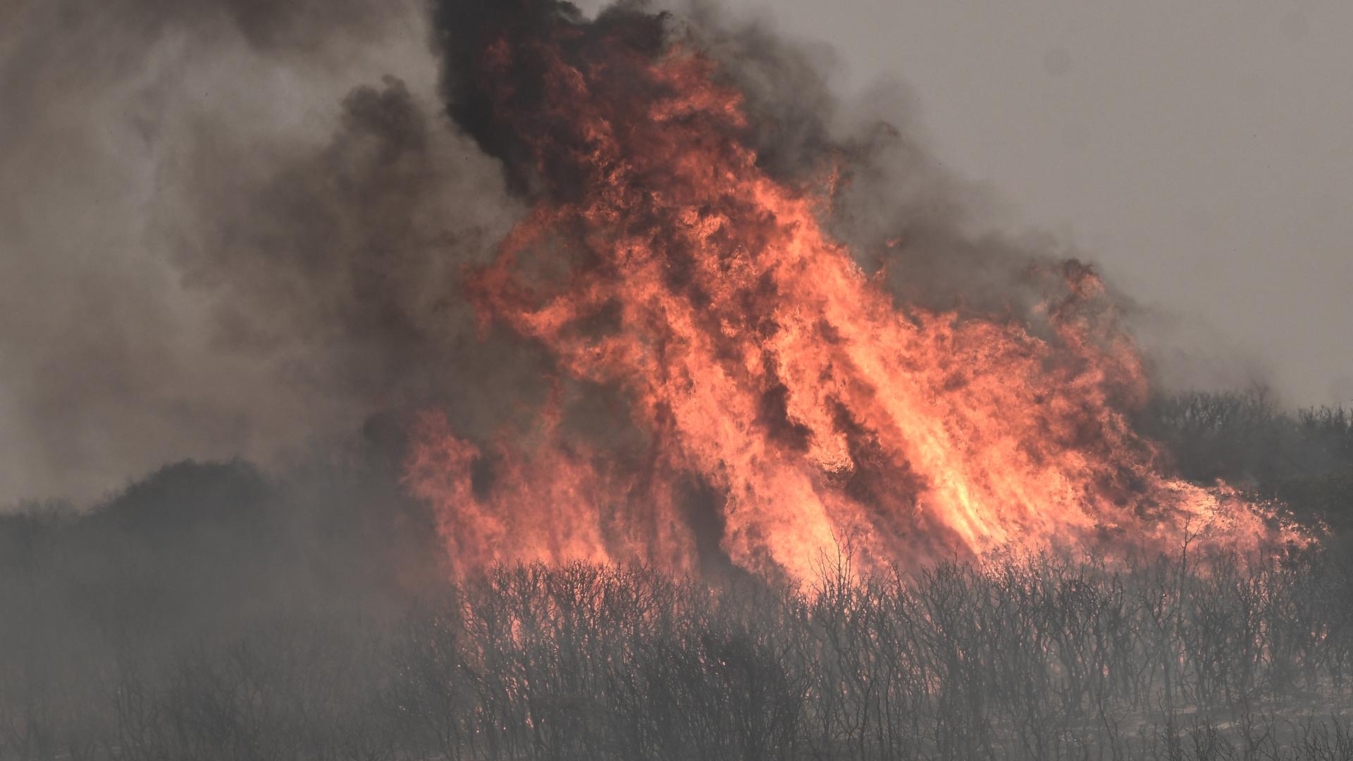 Das Foto zeigt einen Waldbrand bei Alexandroupolis.