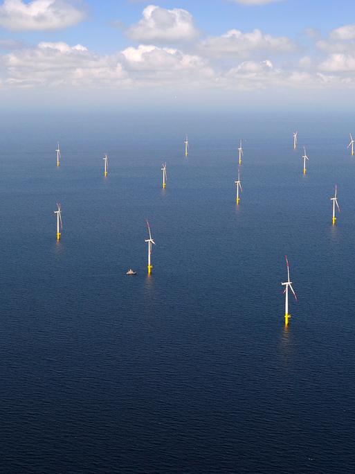 Blick auf die Ostsee mit vielen Windrädern