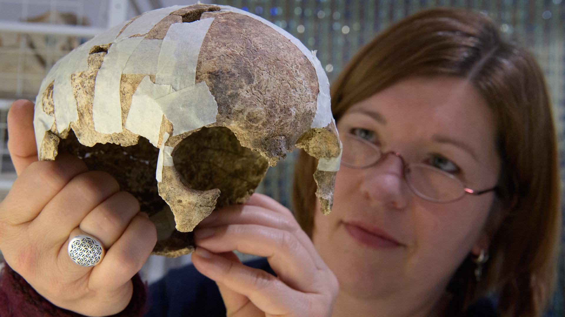 Osteoanthroplogin Bettina Jungklaus untersucht den Schädel eines Menschen.