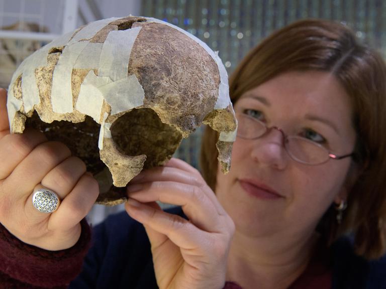 Osteoanthroplogin Bettina Jungklaus untersucht den Schädel eines Menschen.