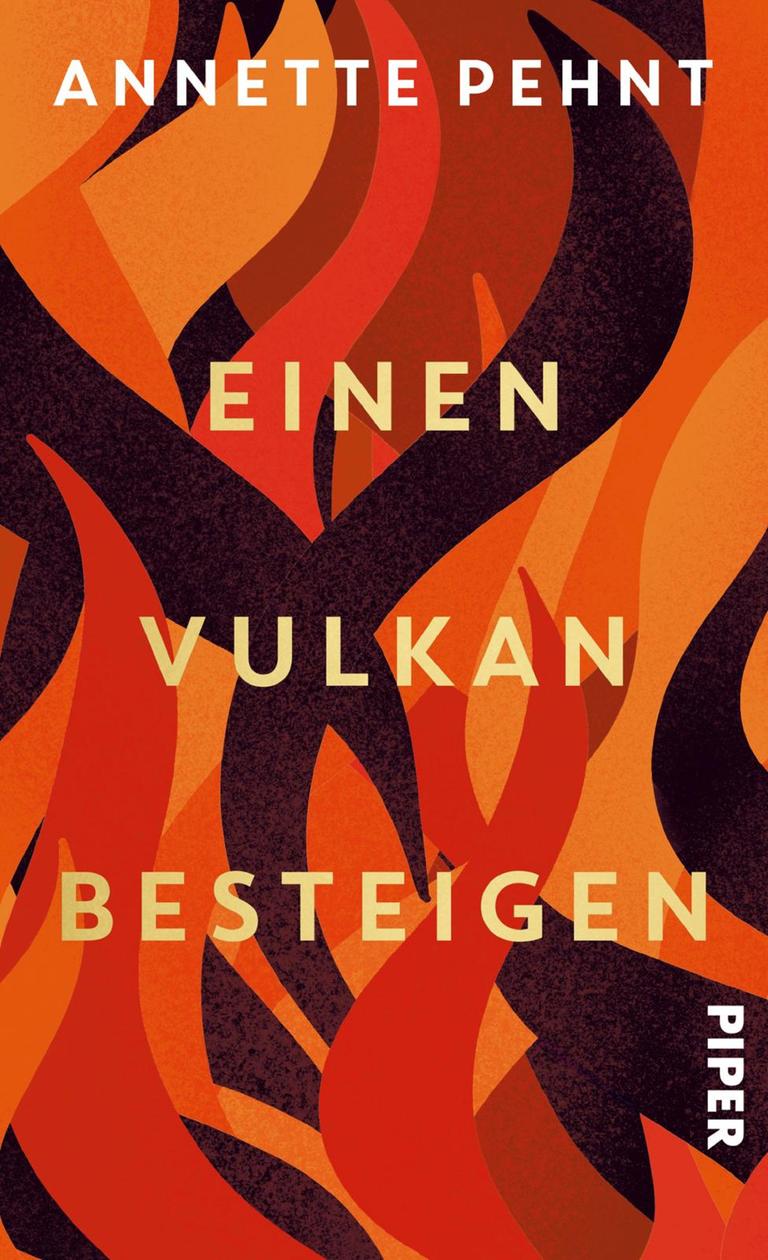 Buchcover des Buchs "Einen Vulkan besteigen" von Annette Pehnt