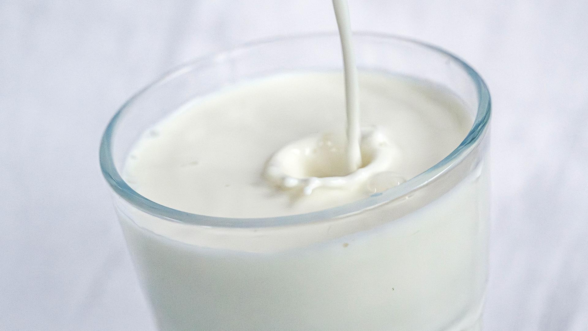 Freiburger Start-up erzeugt Kuhmilch im Labor