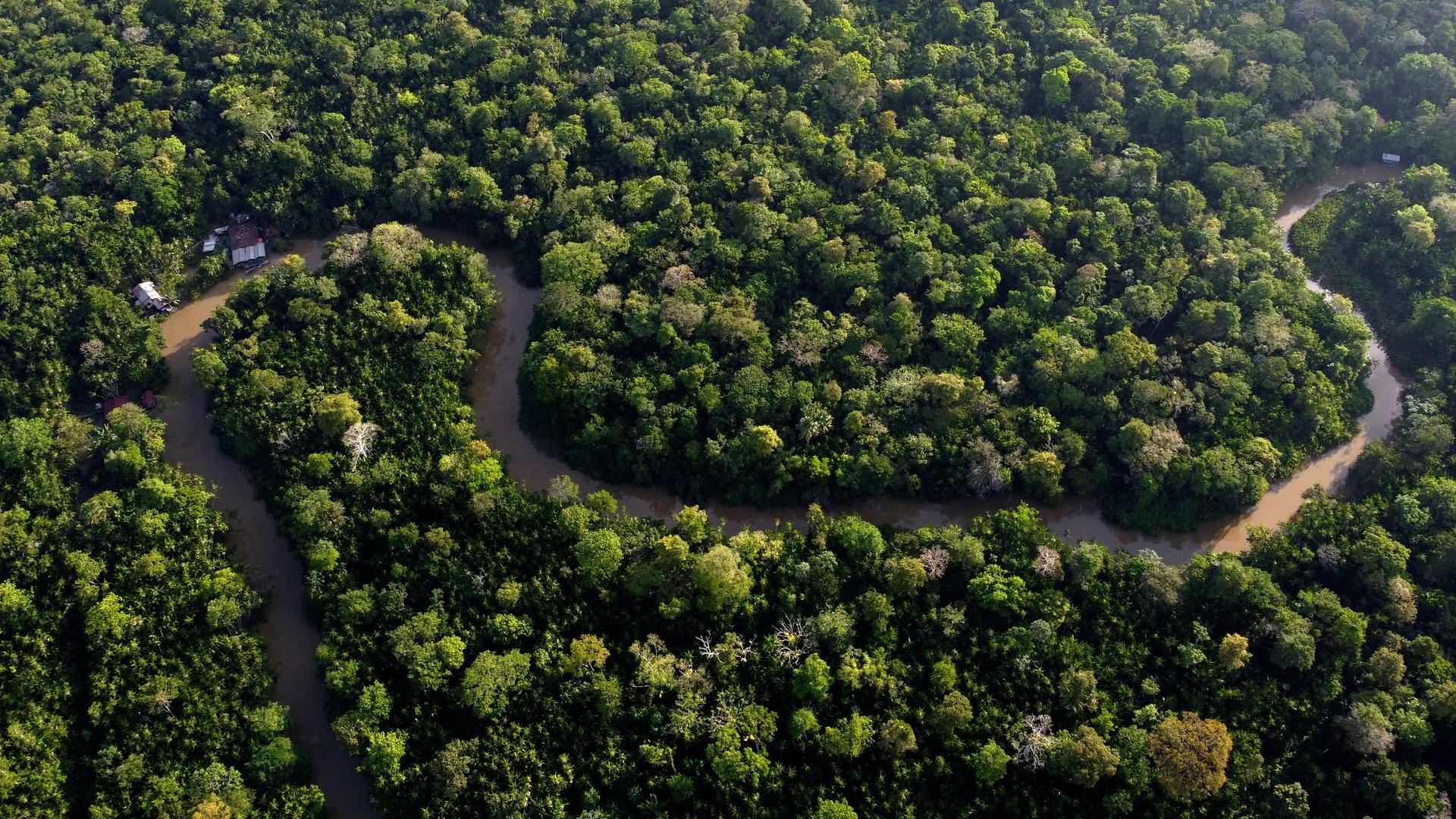 Eine Naturaufnahme aus der Vogelperspektive: Ein Fluss schlängelt sich durch einen Wald. Der Wald ist sehr dicht, es ist ein tropischer Regenwald. Eine Naturaufnahme aus der Vogelperspektive: Ein Fluss schlängelt sich durch einen Wald. Der Wald ist sehr dicht, es ist ein tropischer Regenwald.