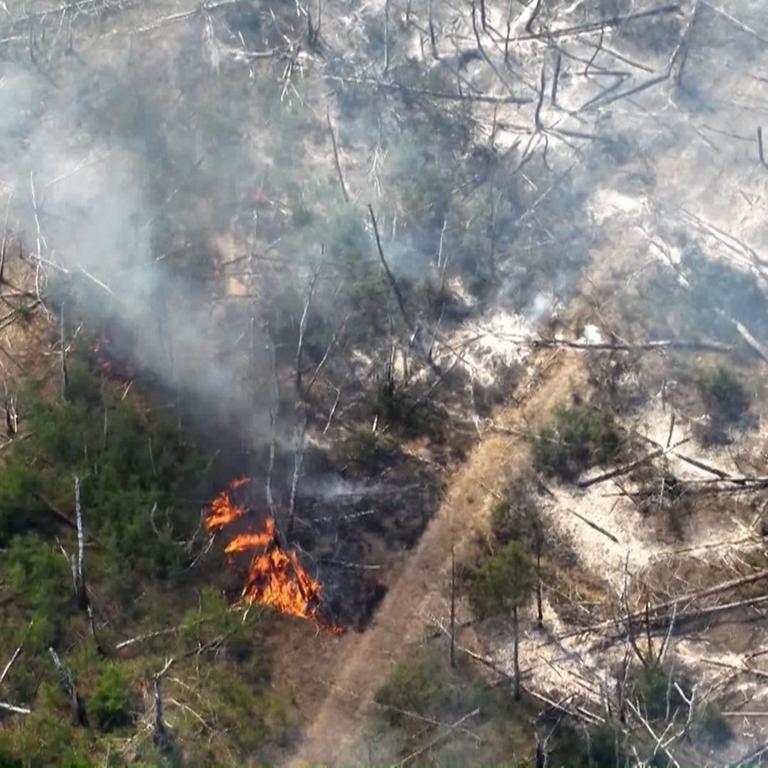 Jüterborg: Eine Aufnahme einer Drohne zeigt einen Waldbrand in einem munitionsbelasteten Gebiet bei Jüterbog (Teltow-Fläming). 