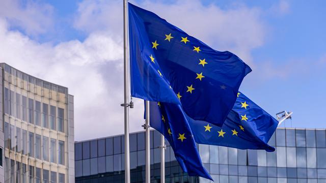 EU-Flaggen wehen vor blauem Himmel.