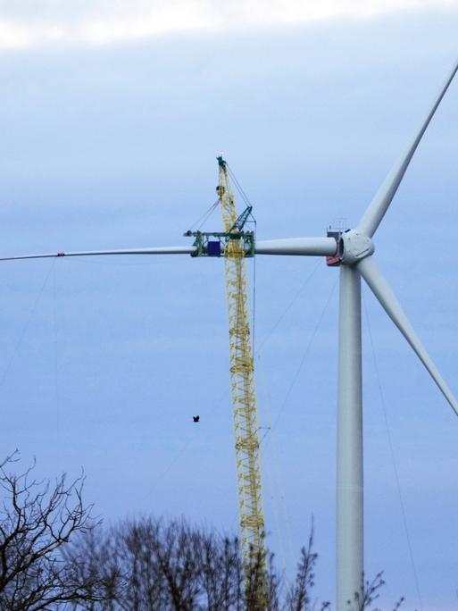 Ein Kran hebt ein Rotorblatt für eine neue Windenergieanlage des deutschen Herstellers Nordex nach oben. Zwei Rotorblätter sind bereits an der Anlage.