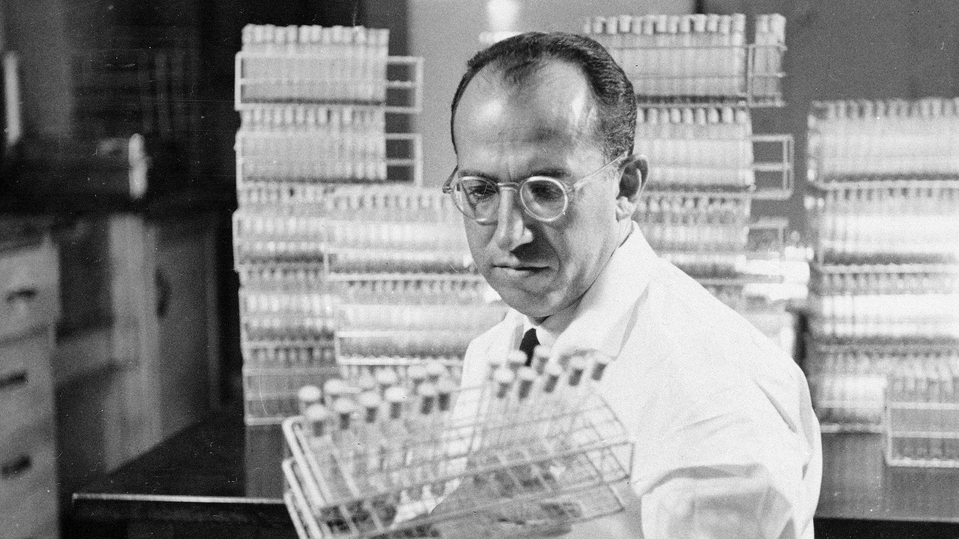 Dr. Jonas Salk, Entwickler der Polio-Impfung, trägt einen weißen Kittel und steht in einem Labor in Pittsburgh. Die Aufnahme stammt von 1954. 