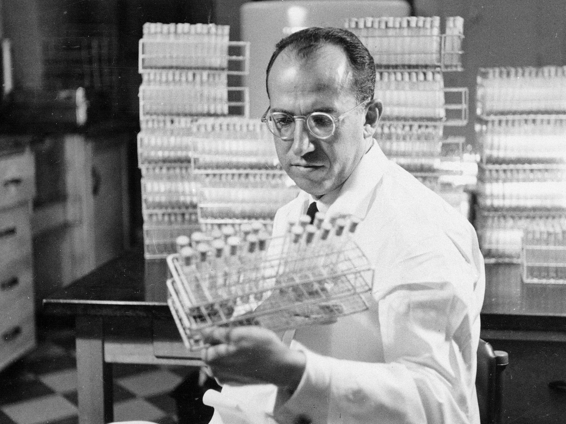 Dr. Jonas Salk, Entwickler der Polio-Impfung, trägt einen weißen Kittel und steht in einem Labor in Pittsburgh. Die Aufnahme stammt von 1954. 