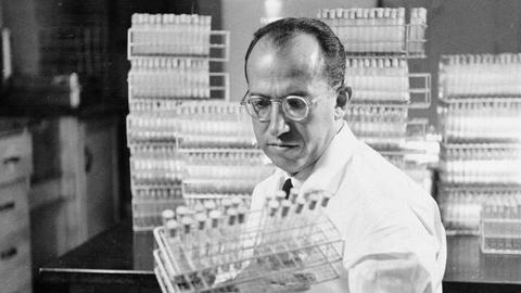 Dr. Jonas Salk, Entwickler der Polio-Impfung, trägt einen weißen Kittel und steht in einem Labor in Pittsburgh. Die Aufnahme stammt von 1954. 