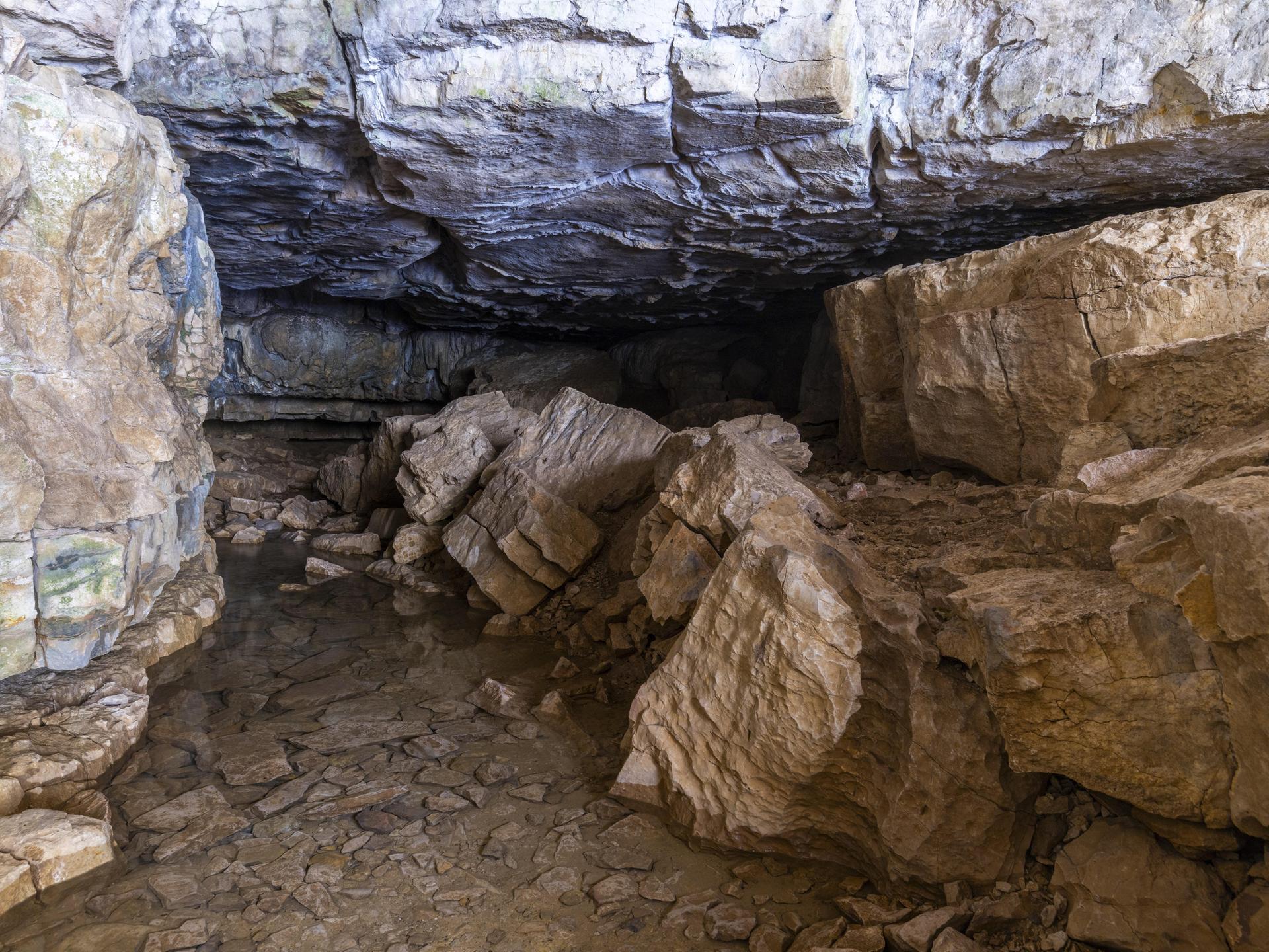 Blick in eine Höhle auf der Schwäbischen Alb in Baden-Württemberg.