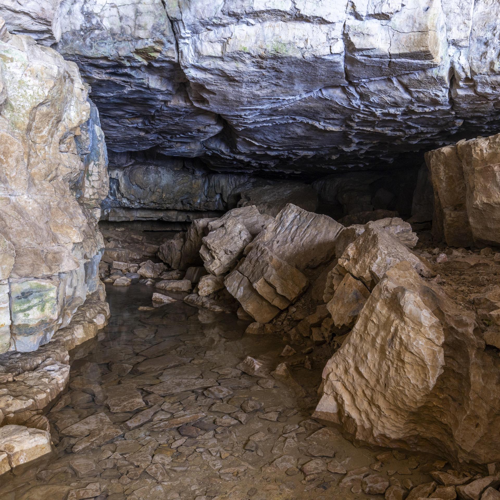 Zeichensystem auf Steinzeitgegenständen: Interview E. Dutkiewicz und C. Bentz