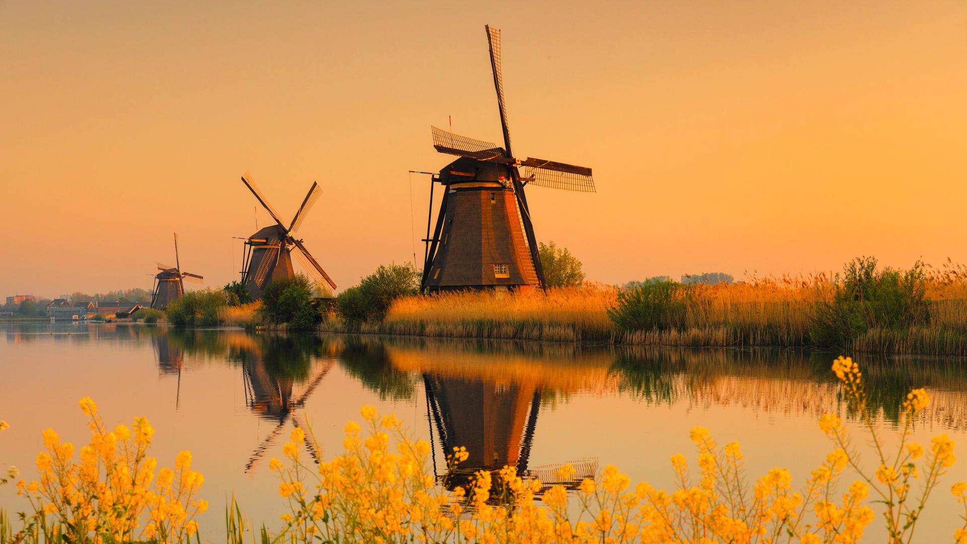 Die zum UNESCO-Welterbe zählenden Windmühlen von Kinderdijk bei Sonnenaufgang über den Kanal hinweg aufgenommen.