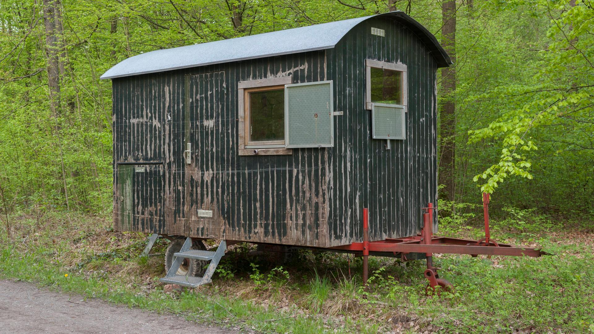 Ein dunkelgrüner Bauwagen steht an einem Waldweg. Er ist in die Jahre gekommen, die Farbe blättert teilweise ab. 