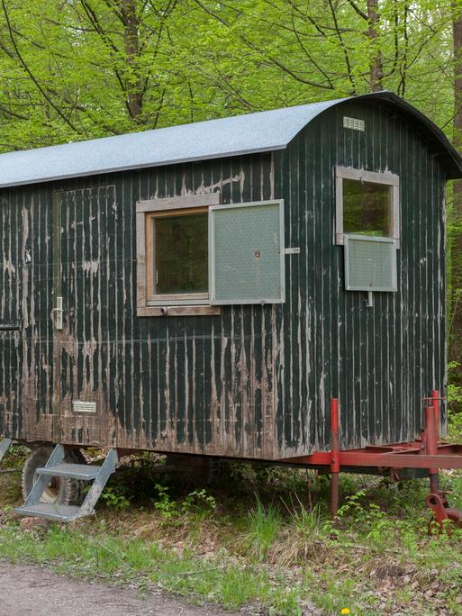 Ein dunkelgrüner Bauwagen steht an einem Waldweg. Er ist in die Jahre gekommen, die Farbe blättert teilweise ab. 