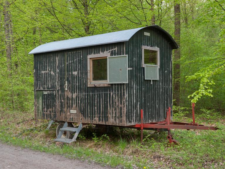 Ein dunkelgrüner Bauwagen steht an einem Waldweg. Er ist in die Jahre gekommen, die Farbe blättert teilweise ab. 