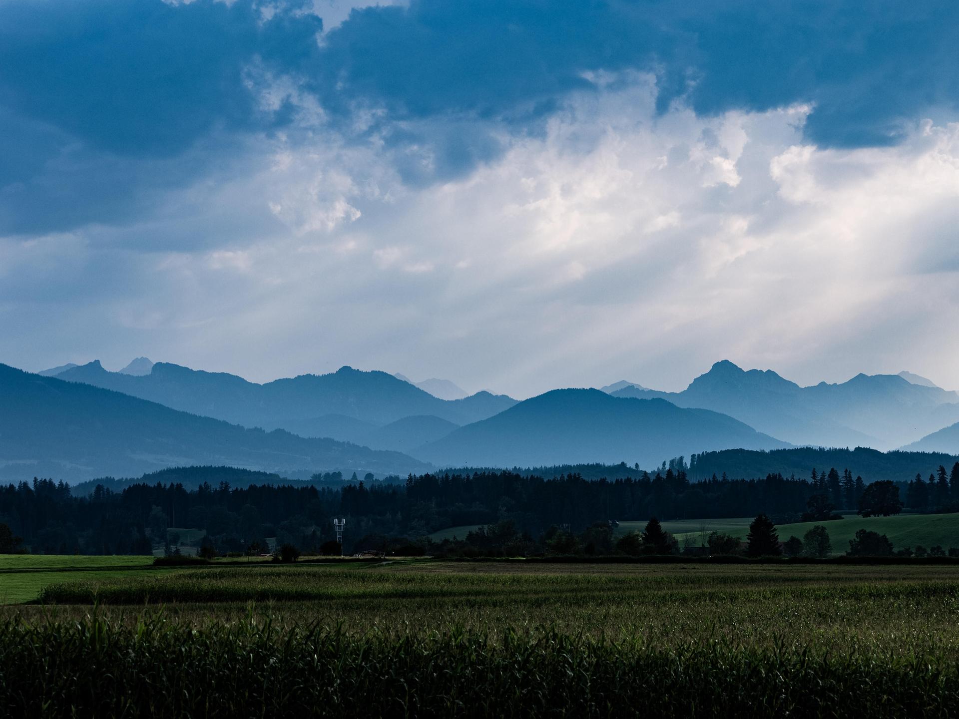 Blick auf die Alpen, im Vordergrund grüne weite Wiesen, im Hintergrund die Alpen in vielen blauen Schattierungen.