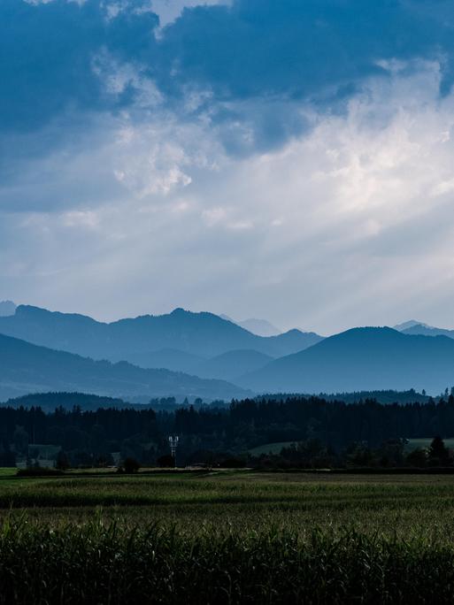Blick auf die Alpen, im Vordergrund grüne weite Wiesen, im Hintergrund die Alpen in vielen blauen Schattierungen.