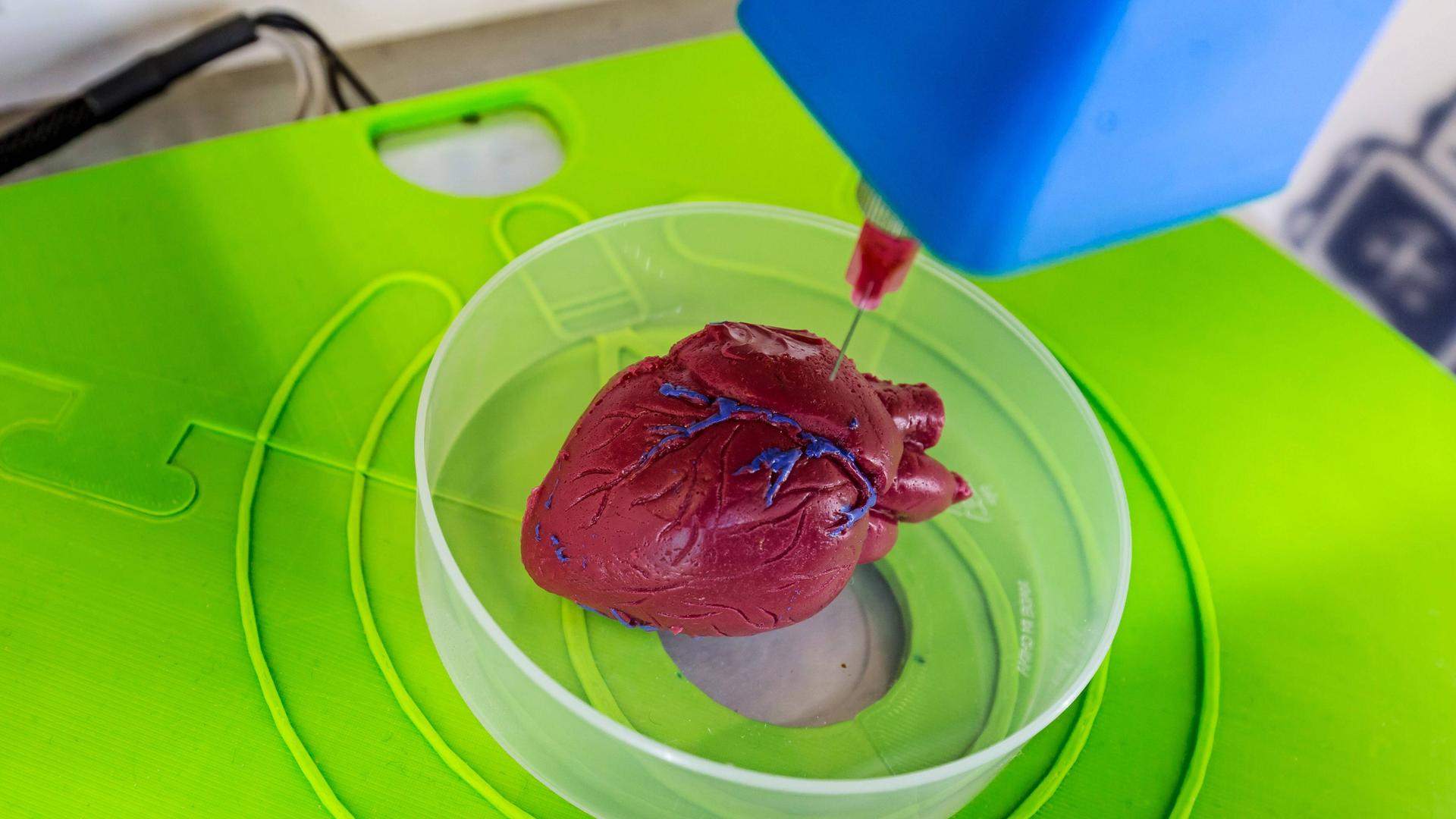 In einer Schale liegt ein kleines Herz. Darüber schwebt eine Apparatur mit einer Nadel. In einer Schale liegt ein kleines Herz. Darüber schwebt eine Apparatur mit einer Nadel.