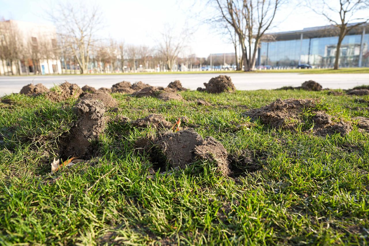 Ein Stück Wiese vor dem Bundeskanzleramt ist an einigen Stellen aufgewühlt.