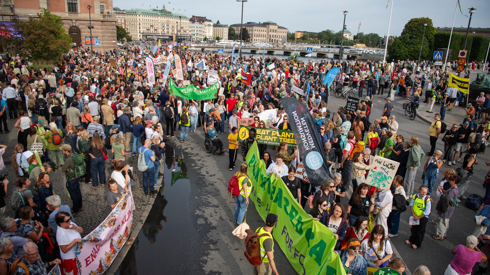 Eine riesige Menge an Demonstranten steht auf dem Gustav-Adolf-Platz in Stockholm. Einige Teilnehmer halten Transparente. Eine riesige Menge an Demonstranten steht auf dem Gustav-Adolf-Platz in Stockholm. Einige Teilnehmer halten Transparente.