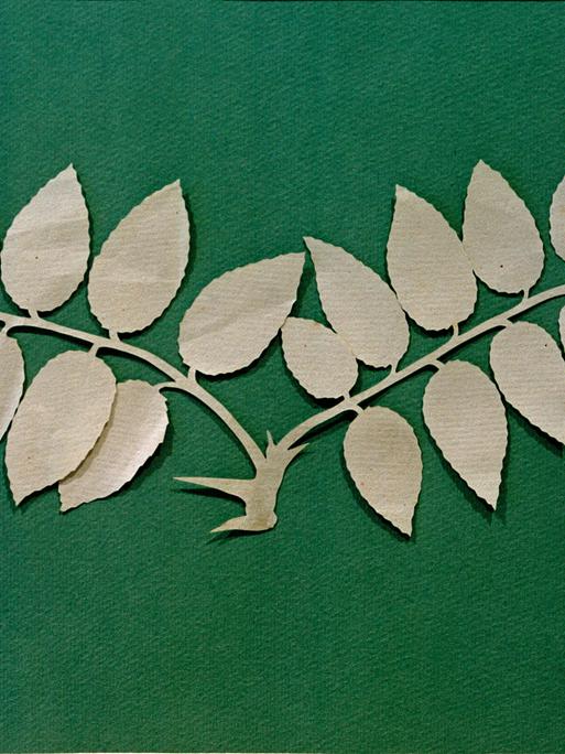 Der Scherenschnitt 'Pflanzenstück' (1794/1806) mit den Maßen 8,7 x 25,2 cm von Philipp Otto Runge