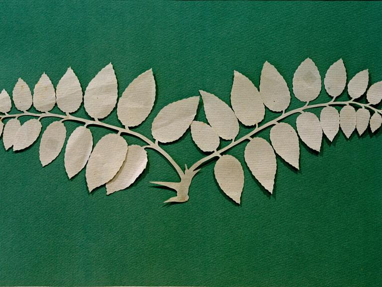 Der Scherenschnitt 'Pflanzenstück' (1794/1806) mit den Maßen 8,7 x 25,2 cm von Philipp Otto Runge