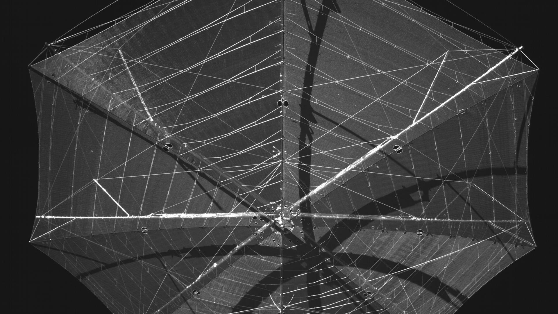 Zu sehen ist, in schwarz-weiß, die im All entfaltete 12-Meter-Antenne des Satelliten Biomass, die wie ein Spinnennetz aussieht.