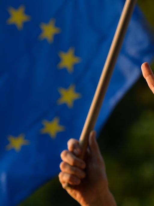Eine Hand macht ein Peace-Zeichen, im Hintergrund weht eine Europaflagge