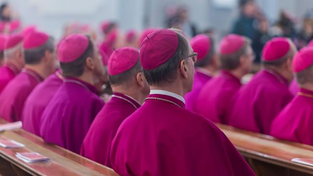 Bischöfe sitzen im Ornat in einer Kirchenbank. Sie sind von hinten fotografiert.
