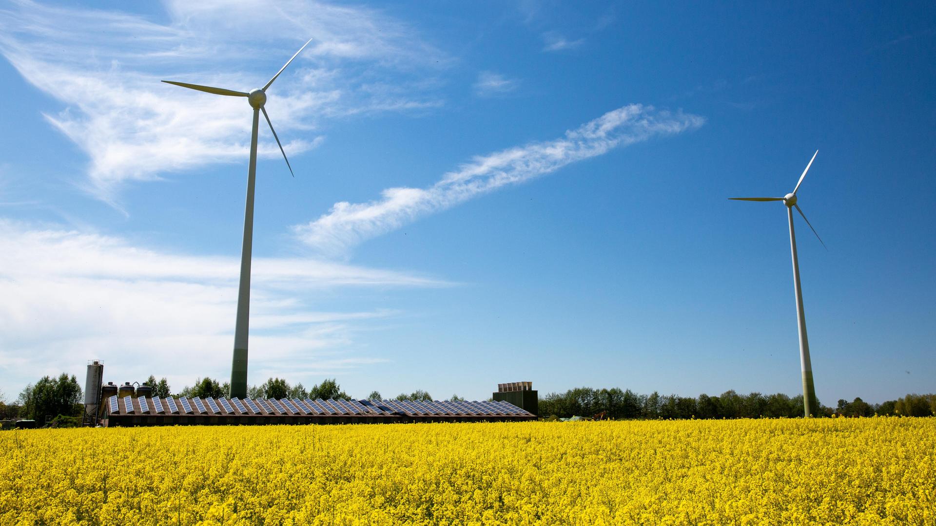 Windräder und Photovoltaikmodule vor einem blühendem Rapsfeld