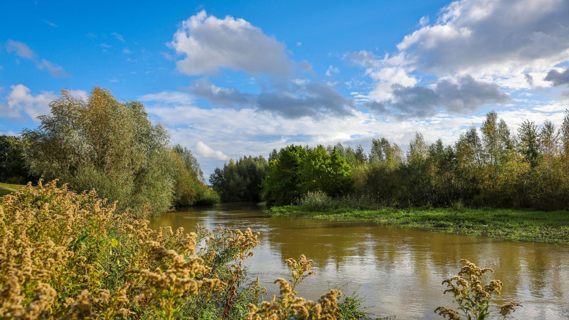 In Nordrhein-Westfalen wurde die renaturierte Seseke, ein Nebenfluss der Lippe, zum naturnahem Gewässer umgestaltet.