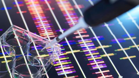 Mit einer Pipette wird DNA transferiert.